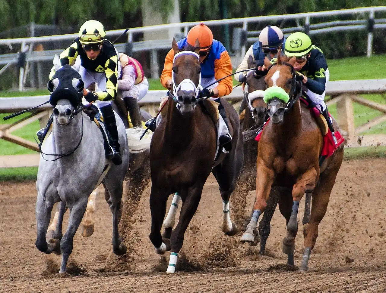 Downs, Ky a 20-1 shot Kitodan gives connections its first graded victory.