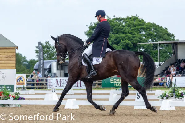 Experience the Premier Line-Up at Somerford’s Premier League Dressage